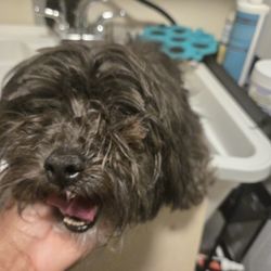 Southwoods Animal Hospital