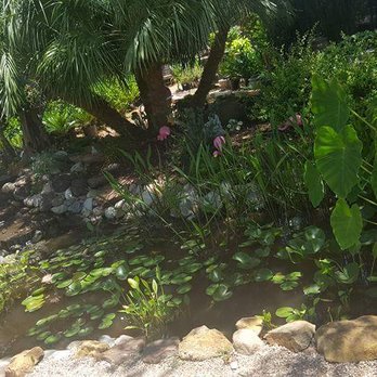 Bloomers Garden Center - Nurseries & Gardening Near Me - Elgin, Texas