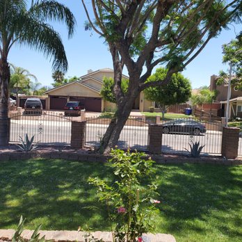 Alan's Tree Care - Before #2 - Tree Services Near Me - Jurupa Valley, California