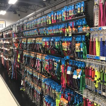 Homes Alive Pets - Pet Stores Near Me - Edmonton, Alberta Homes Alive Pets - Pet Stores Near Me - Edmonton, Alberta