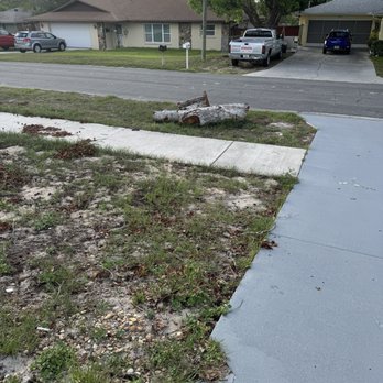 Howard’s Tree & Land Development - Tree stumps sitting in my front yard for over a month - Tree Services Near Me