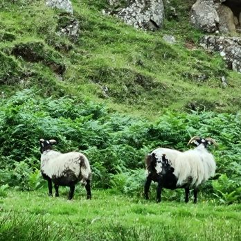 Fairy Glen - Landmarks & Historical Buildings Near Me
