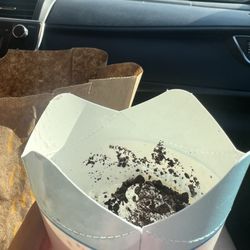 McDonald's - Regular Oreo McFlurry