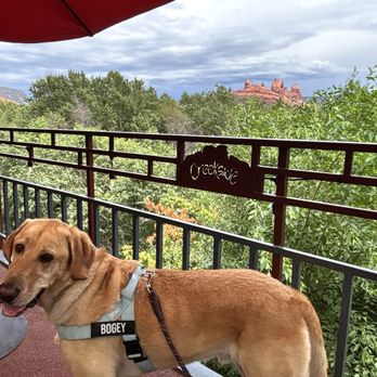 Creekside American Bistro - Dog friendly - New American Near Me - Sedona, Arizona