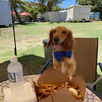 Eighty Chicken Sandwiches - Sandwiches Near Me - Kahuku, Hawaii Eighty Chicken Sandwiches - Sandwiches Near Me - Kahuku, Hawaii