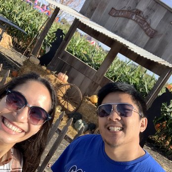 Petaluma Pumpkin Patch And Amazing Corn Maze - Farm with sheep & goats - Pumpkin Patches Near Me - Petaluma, California Petaluma Pumpkin Patch And Amazing Corn Maze - Farm with sheep & goats - Pumpkin Patches Near Me - Petaluma, California