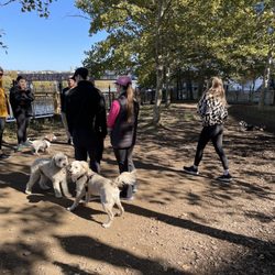 Dog Park, Downtown