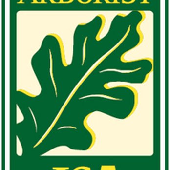 Arbor Doctor - ISA Certified arborists - Pest Control Near Me - Minneapolis, Minnesota Arbor Doctor - ISA Certified arborists - Pest Control Near Me - Minneapolis, Minnesota