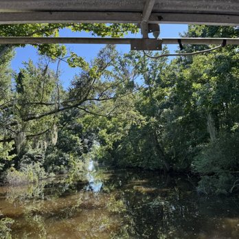 Jean Lafitte Swamp Tour - Boat Tours Near Me - Marrero, Louisiana