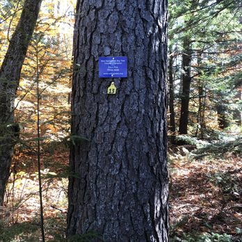 Quincy Bog Natural Area - Parks Near Me - Rumney, New Hampshire