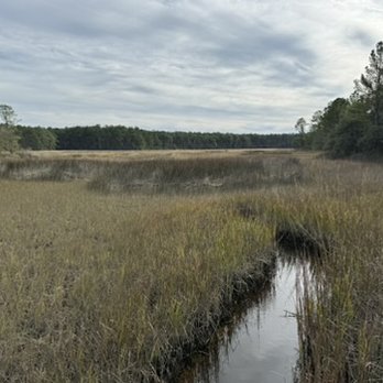 Palmetto Trail - Hiking Near Me - Awendaw, South Carolina