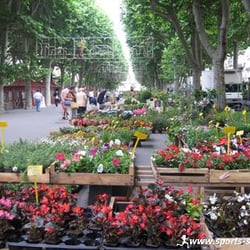 Marché aux fleurs