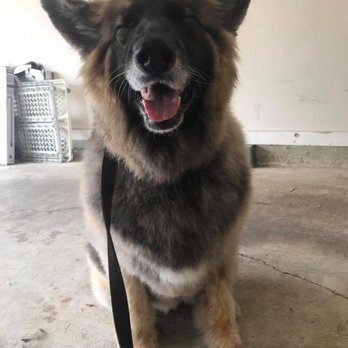 The Mobile Pet Parlor - Pet Groomers Near Me The Mobile Pet Parlor - Pet Groomers Near Me
