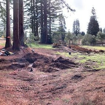 Browns Underground Septic Construction - leach field install - Septic Services Near Me Browns Underground Septic Construction - leach field install - Septic Services Near Me
