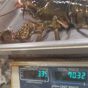 Brown's Seabrook Lobster Pound - We got a big one!! If you go late in the day, they may only have 3 pounders available. 2 people can eat a 3 pounder. - Seafood Near Me - Seabrook, New Hampshire Brown's Seabrook Lobster Pound - We got a big one!! If you go late in the day, they may only have 3 pounders available. 2 people can eat a 3 pounder. - Seafood Near Me - Seabrook, New Hampshire