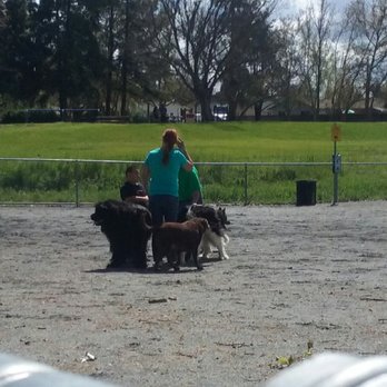 Gilroy Dog Park - A Gang of New Friends - Dog Parks Near Me - Gilroy, California Gilroy Dog Park - A Gang of New Friends - Dog Parks Near Me - Gilroy, California