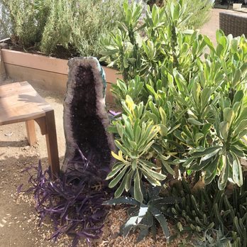 The Prickly Pear - Nurseries & Gardening Near Me - Sacramento, California The Prickly Pear - Nurseries & Gardening Near Me - Sacramento, California