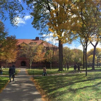 Harvard University - Brains and beauty! - Colleges & Universities Near Me - Cambridge, Massachusetts Harvard University - Brains and beauty! - Colleges & Universities Near Me - Cambridge, Massachusetts