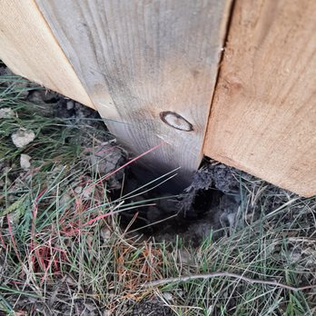 Expert Fence - Fences & Gates Near Me