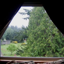 Green Cat Guest House - View from the bed, Green Gable Room