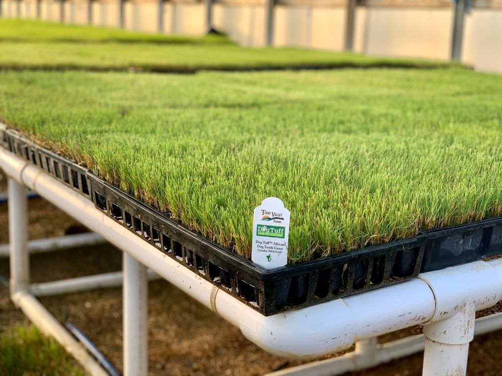 TODD VALLEY FARMS Updated August 2024 10 Photos 950 County Road M