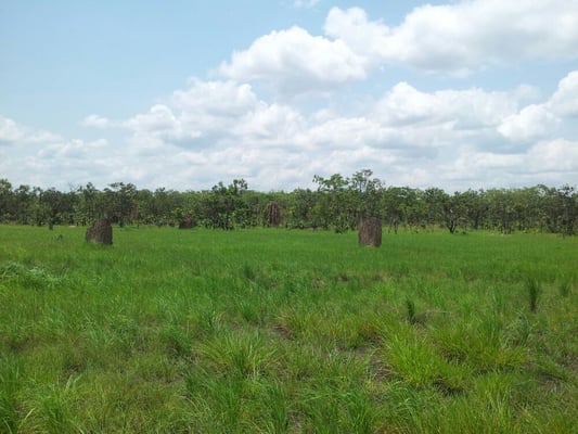 Litchfield National Park by null