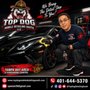 Top Dog Mobile Detailing South