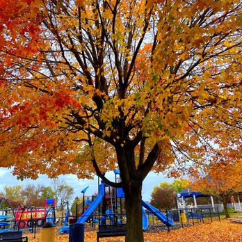 Lt. Colonel Sam Siler Veterans Park - an unseasonably gorgeous day at the park - Im so enamored by the beautiful foliage! (11/6/22) - Parks Near Me - Laurel Springs, New Jersey Lt. Colonel Sam Siler Veterans Park - an unseasonably gorgeous day at the park - Im so enamored by the beautiful foliage! (11/6/22) - Parks Near Me - Laurel Springs, New Jersey