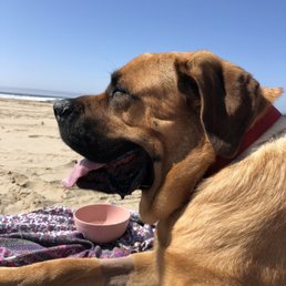 Titan at Pismo Beach. Titan at Pismo Beach.