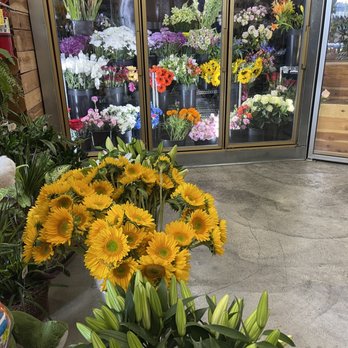 Stalks and Blooms - Florists Near Me - Long Beach, California Stalks and Blooms - Florists Near Me - Long Beach, California