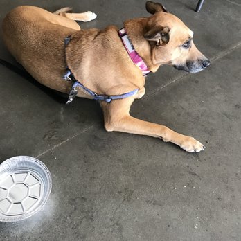 Pizza e Birra - Cako lo adora qui! - Pizza Near Me - San Diego, California
