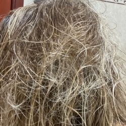 Willow Salon - Hair dryness, constant knotting, absolutely no blend.