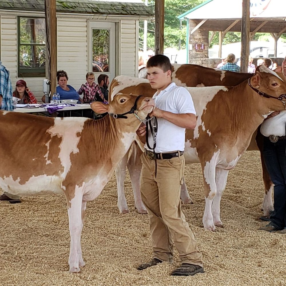 Windsor Fair - Festivals Near Me - Windsor, Maine Windsor Fair - Festivals Near Me - Windsor, Maine