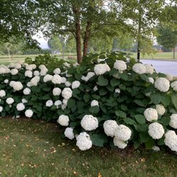 Top 10 Best Garden Nurseries In Fall River Ma Updated Covid 19 Garden Nurseries In Fall River Ma