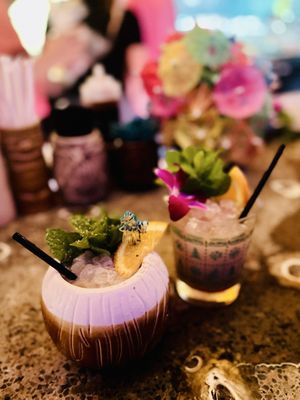 The Toasted Coconut by null