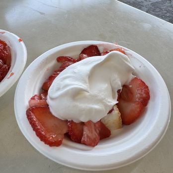The Strawberry Shack - Strawberry shortcake - Ice Cream & Frozen Yogurt Near Me - Carlsbad, California The Strawberry Shack - Strawberry shortcake - Ice Cream & Frozen Yogurt Near Me - Carlsbad, California