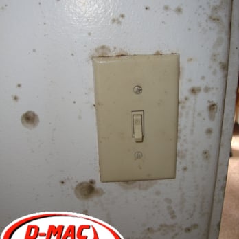 D-Mac Restoration - mb home part C - Carpet Cleaning Near Me - San Diego, California D-Mac Restoration - mb home part C - Carpet Cleaning Near Me - San Diego, California