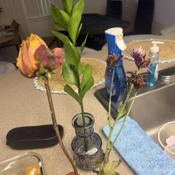 Edible Arrangements - I joked with my husband at least the leaves and vase was nice flowers already dead - Gift Shops Near Me - La Mesa, California Edible Arrangements - I joked with my husband at least the leaves and vase was nice flowers already dead - Gift Shops Near Me - La Mesa, California