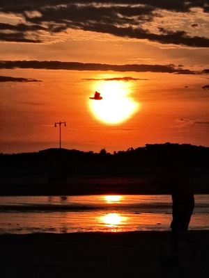 Nahant Beach by null