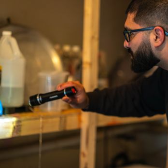 AMW Pest Control - Detailed interior inspection using professional tools to locate pest activity and identify the source accurately. - Pest Control Near Me - Hamilton, Ontario AMW Pest Control - Detailed interior inspection using professional tools to locate pest activity and identify the source accurately. - Pest Control Near Me - Hamilton, Ontario