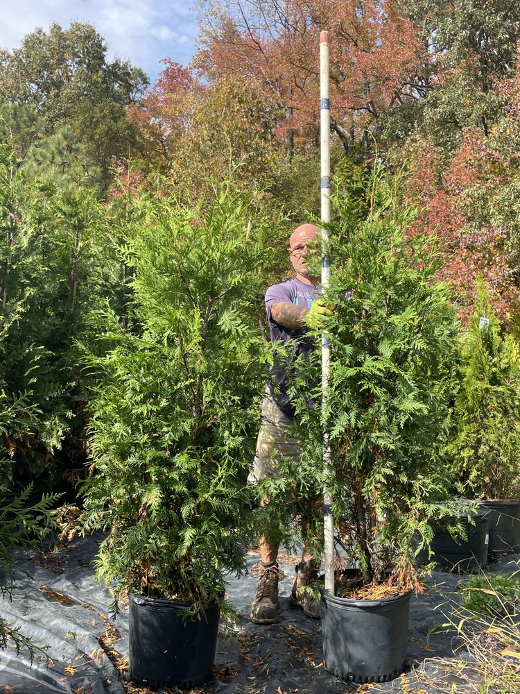 ARBYS ARBORS Updated September 2024 43 Photos Church Hill