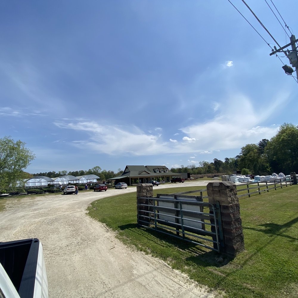 Always Flowers By Crenshaw Fayetteville North Carolina Best Flower Site