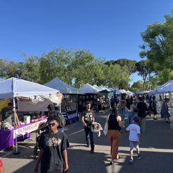 California State University