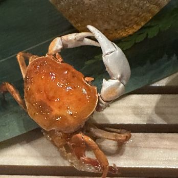 Kaiseki Sanga - Crab - Japanese Near Me - Las Vegas, Nevada Kaiseki Sanga - Crab - Japanese Near Me - Las Vegas, Nevada