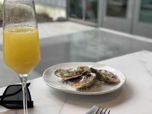 Glasshouse Kitchen by null