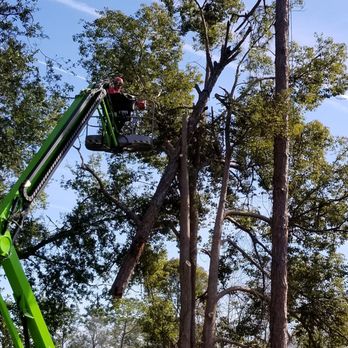 Custom Tree Surgeons - Tree Services Near Me - Jacksonville, Florida