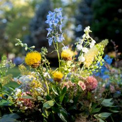 Wild Banksia Floral Design