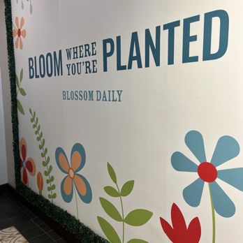 Blossom Daily - Coffee & Tea Near Me - Washington, DC, District of Columbia Blossom Daily - Coffee & Tea Near Me - Washington, DC, District of Columbia
