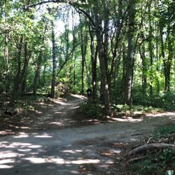 Alpine Golf Club - Drive from hole #8 to #9