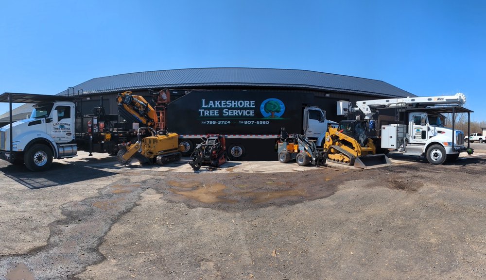 Lakeshore Tree Service - tree service in Gasport, NY